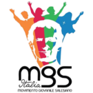 11mgs logo